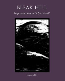 Bleak Hill book cover
