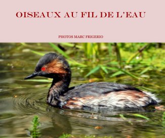 Oiseaux au fil de l'eau photos marc frigerio book cover