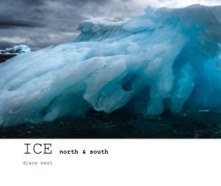 ICE north and south book cover