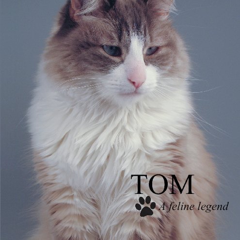 View Tom by Loris Bogue