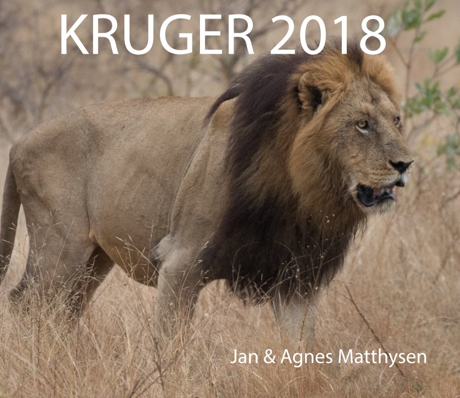 Visualizza Kruger 2018 di Agnes and Jan Matthysen