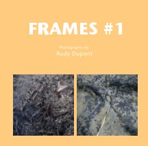 Frames #1 book cover