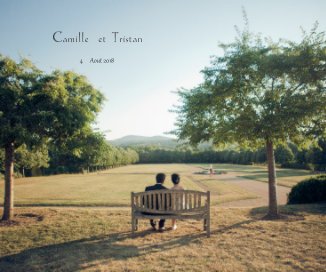 Camille et Tristan book cover