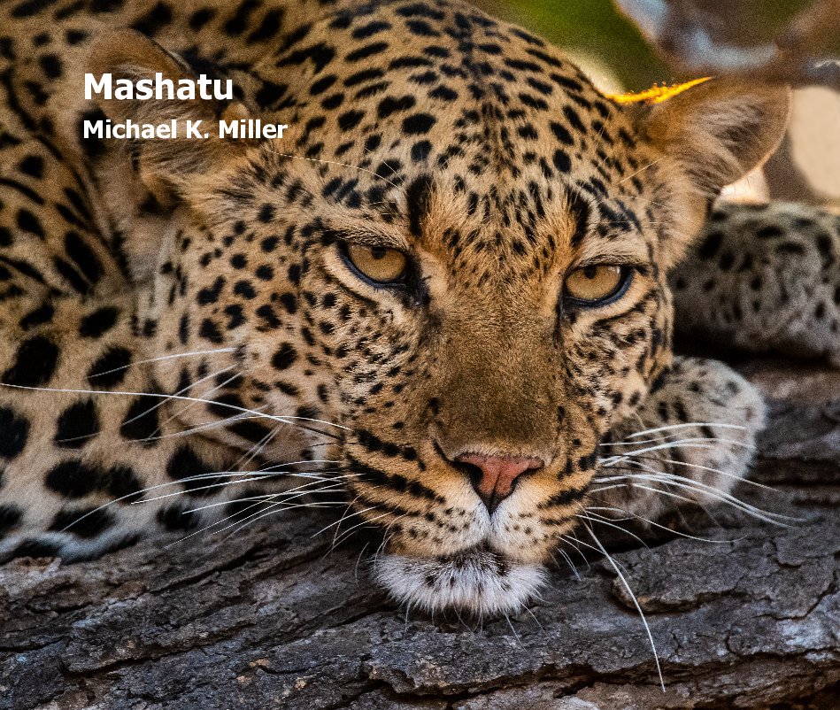 Bekijk Mashatu op Michael K. Miller