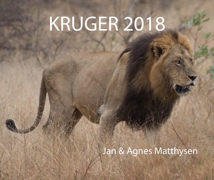 Ver Kruger 2018 por Agnes and Jan Matthysen