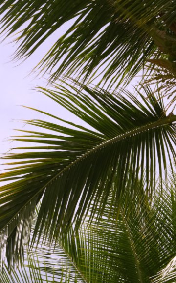 Visualizza Tropical Palm Tree Journal di Lauren Elizabeth