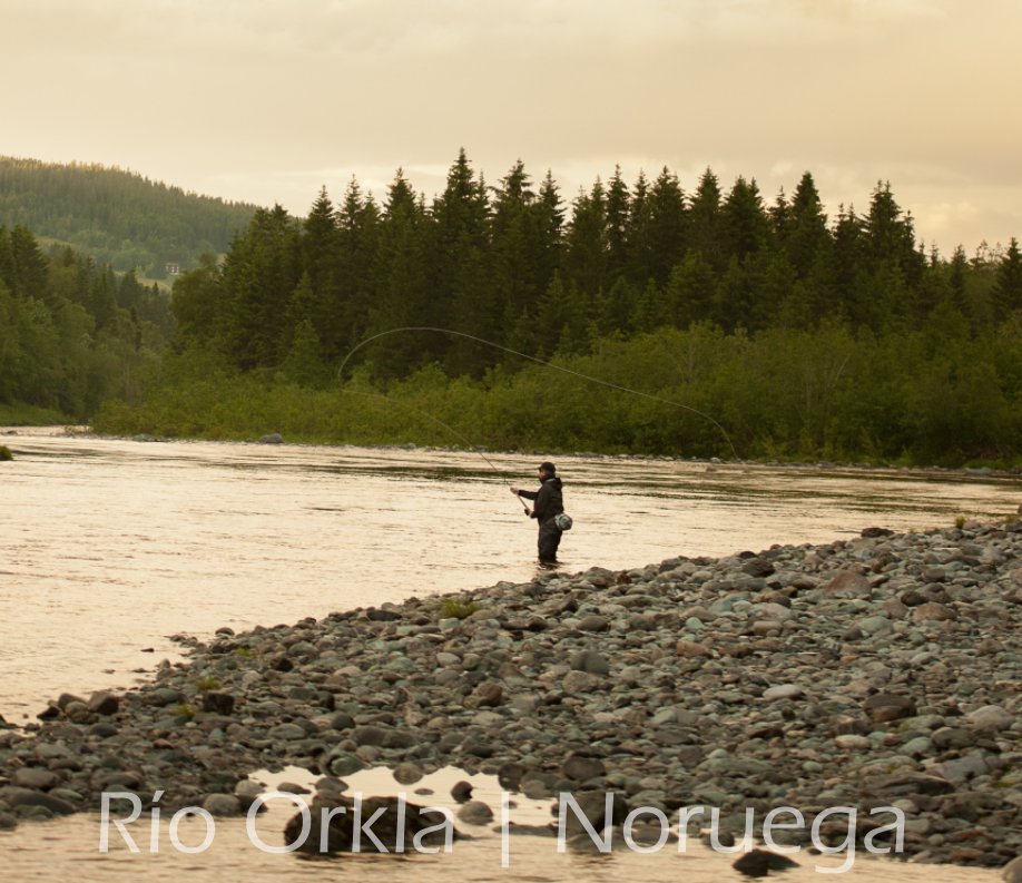 Río Orkla | Noruega nach Mauro Ochoa anzeigen