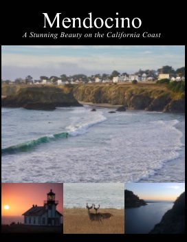 Mendocino
Stunning Beauty on the California Coast book cover