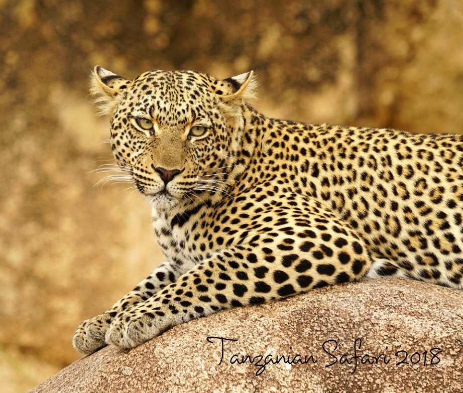 Ver Tanzanian Safari 2018 por Dominyk Lever