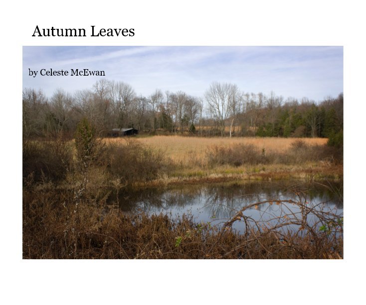 View Autumn Leaves by Celeste McEwan