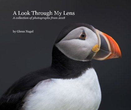 A Look Through My Lens: 2018 book cover