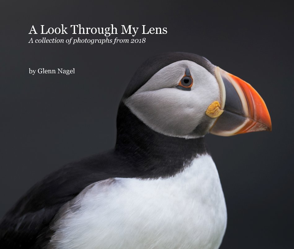 View A Look Through My Lens: 2018 by Glenn Nagel