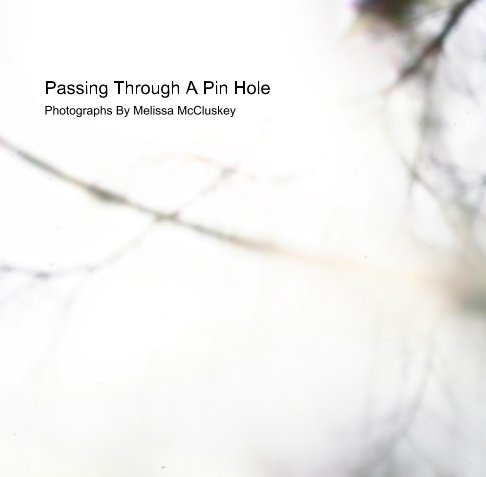 View Passing Through A Pin Hole by Melissa McCluskey