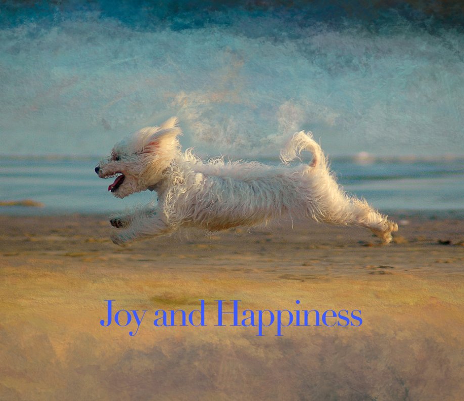 Ver Joy and Happiness por Harry Spitz