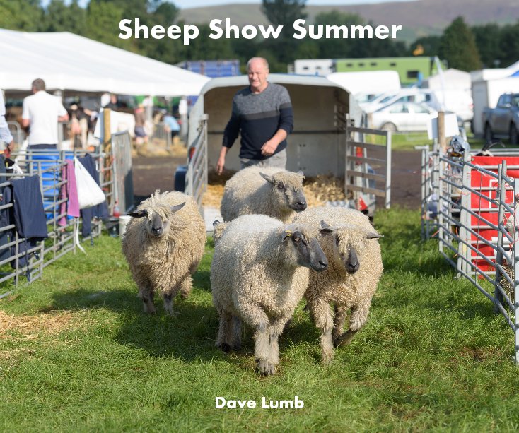 View Sheep Show Summer by Dave Lumb