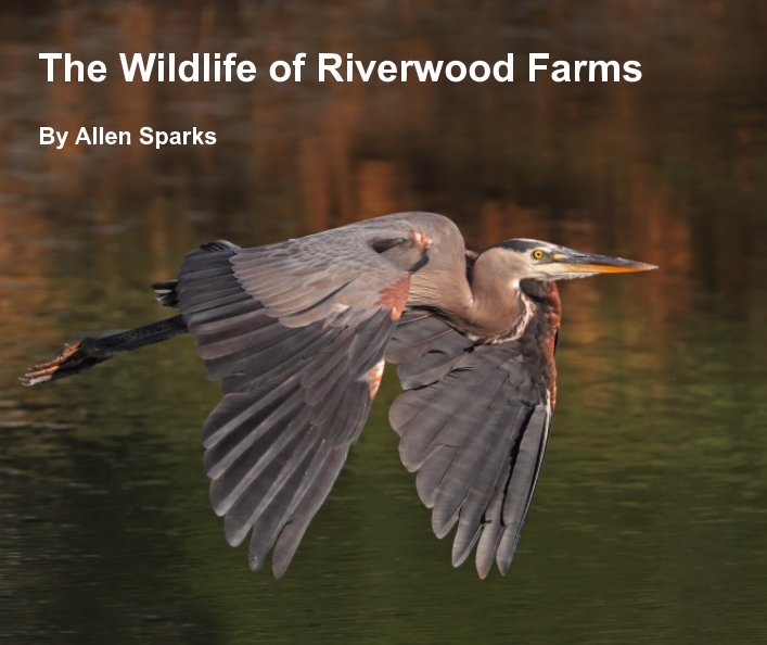 Ver The Wildlife of Riverwood Farms por Allen Sparks