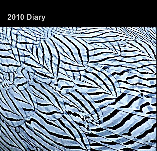 View 2010 Diary by Cosmic