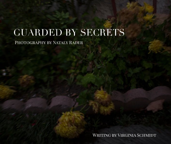 View Guarded by Secrets by Nataly Rader