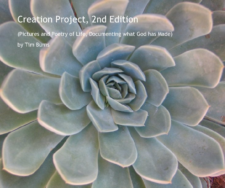 Ver Creation Project, 2nd Edition por Tim Burns