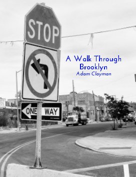 A Walk Around Brooklyn book cover