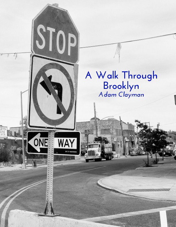 Ver A Walk Around Brooklyn por Adam Clayman