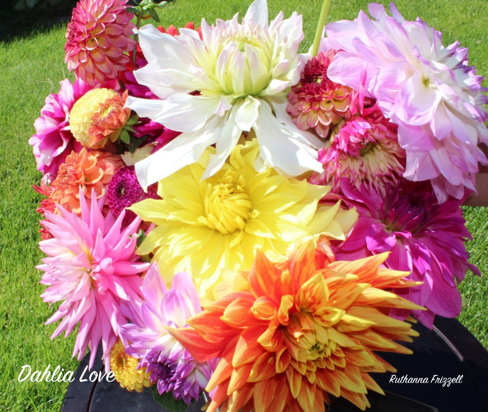 View Dahlia Love by Ruthanna Frizzell