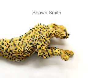 Shawn Smith book cover