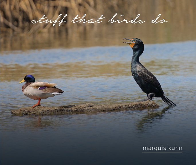 View Stuff that Birds Do (Soft Cover) by marquis kuhn