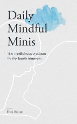 Daily Mindful Minis book cover