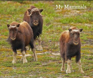 My Mammals book cover