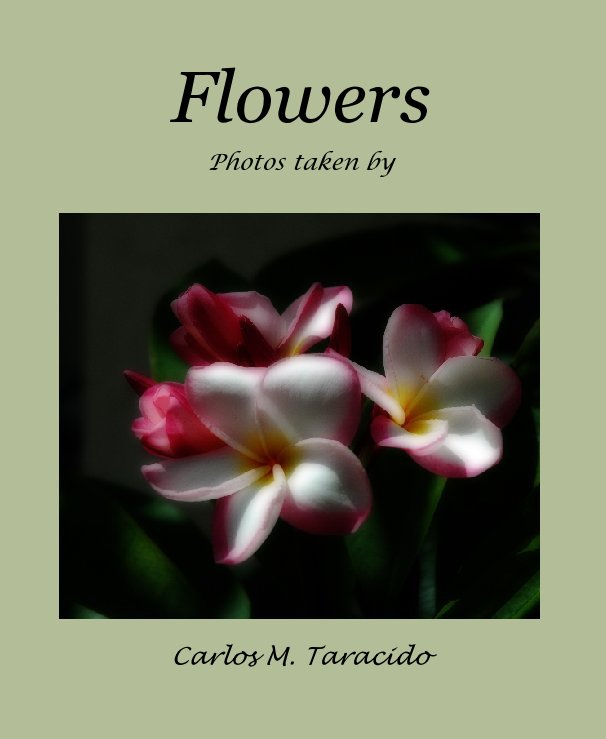 View Flowers by Carlos M. Taracido