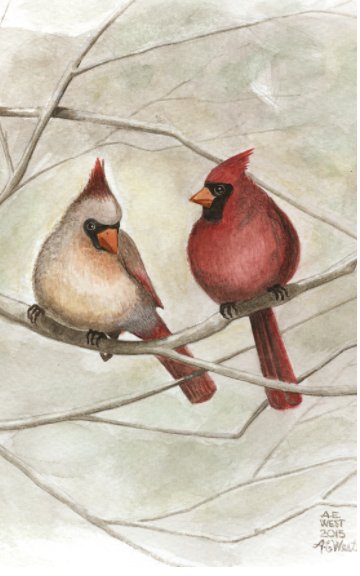 View Two Cardinals Notebook by A. E. West