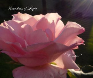 Gardens of Light book cover