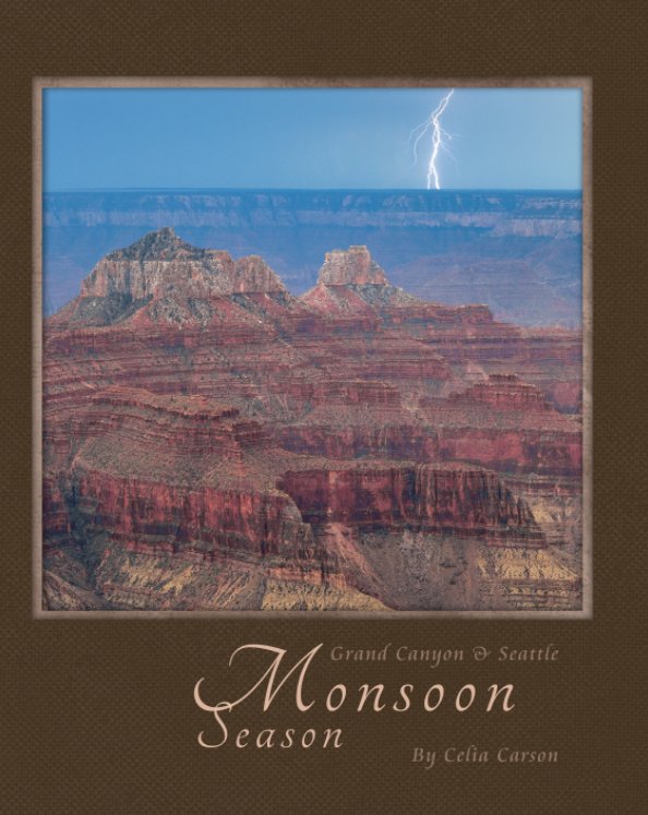 View Grand Canyon by Celia Carson