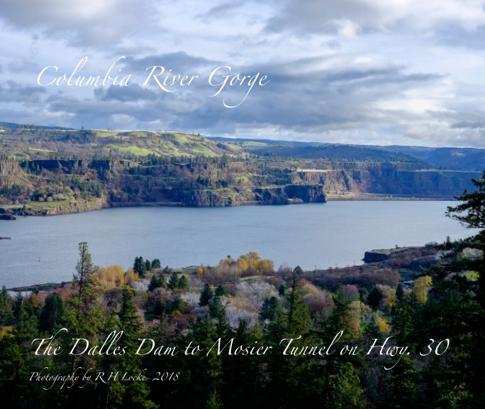 View Columbia River Gorge by Robin H. Locke