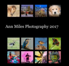 Ann Miles Photography 2017 book cover