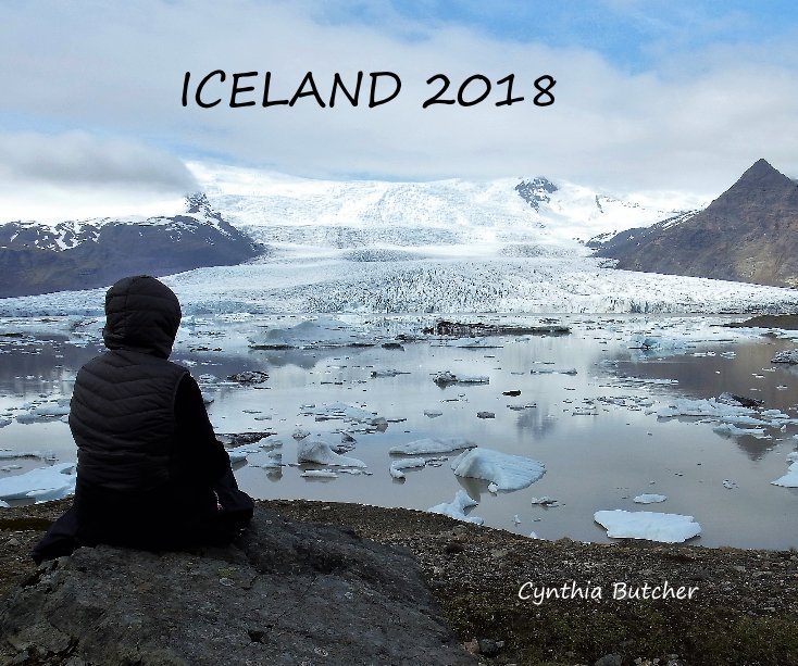 View Iceland 2018 by Cynthia Butcher