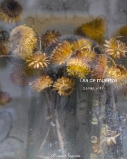 Dia de muertos book cover