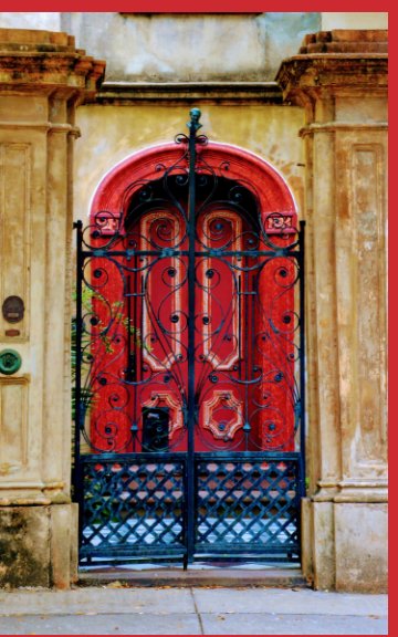 Visualizza Charleston Doors Journal di Ann Currie Williams
