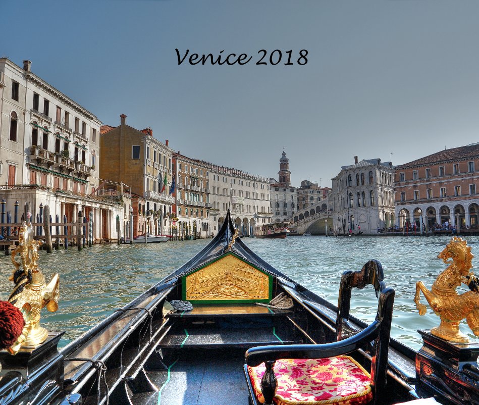 View Venice 2018 by Delise Herron