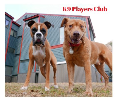K9 Players Club book cover