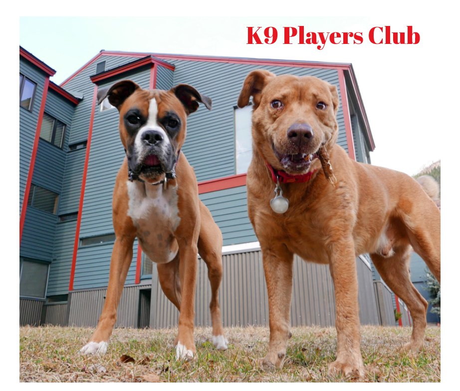 View K9 Players Club by Mary Kenez, Red, Friends