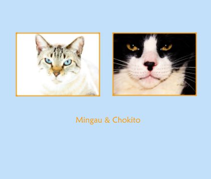 Mingau & Chokito book cover