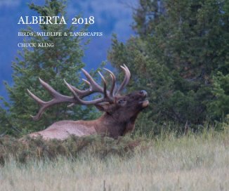 Alberta  2018 book cover