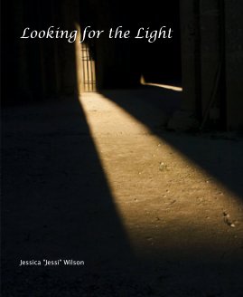 Looking for the Light book cover
