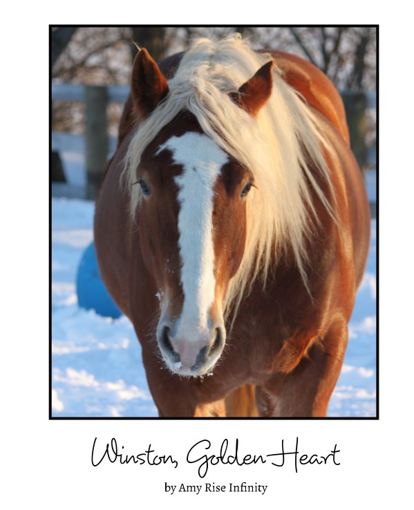 View Winston, Golden Heart Hardcover by Amy Rise Infinity