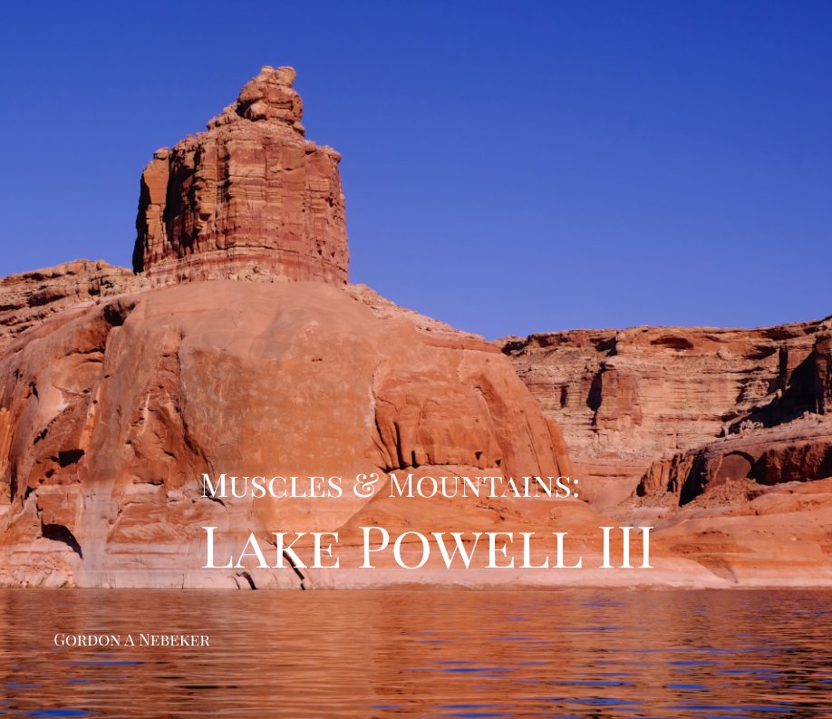 View Muscles and Mountains: Lake Powell III by Gordon A Nebeker
