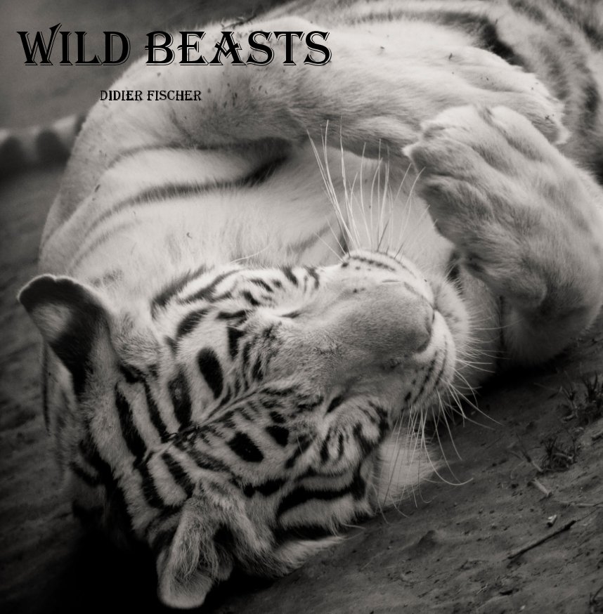 View Wild beasts by DIDIER FISCHER