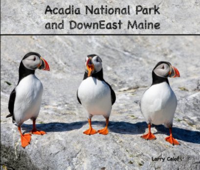 Acadia National Park and DownEast Maine book cover