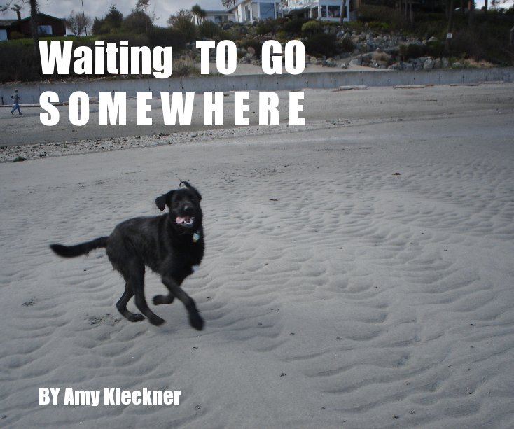 Ver Waiting TO GO S O M E W H E R E por Amy Kleckner